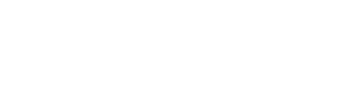 Parallel Group